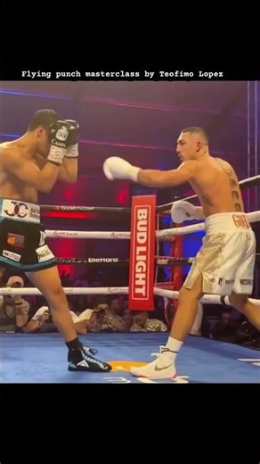 Flying punch masterclass by Teofimo Lopez #boxing #highlights