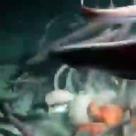 A dead fish doesn't last long on the ocean floor