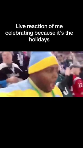 #telopeaparkschool #telopea #telopeaslander