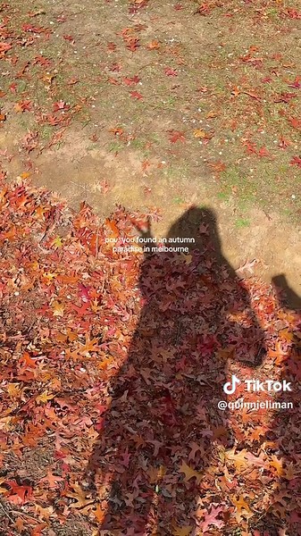 Autumn Paradise One Hour from Melbourne