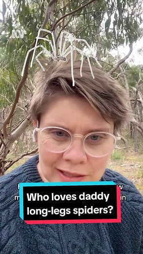 All right, who spread the lie that daddy long legs were the most poiso...