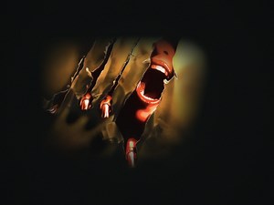 The Howling - Apple TV