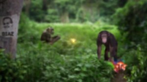 Joe Rogan Experience - Best of the Week of June 28, 2015 JRE #666 - Duncan Trussell - https://youtu.be/1GaviDYQvFA JRE #667 - Kurt Metzger - https://youtu.be/hknnVPHRBWk http://podcasts.joerogan.net | Joe Rogan