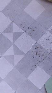 Not sure where to start with cleaning your floor? We can help... Tip 1 - Muddy shoes? Not a problem! Our hard-wearing LVT will look as good as new after a quick sweep. Tip 2 - For a more in depth clean, try our Amtico floor cleaner combined with a string mop. This works wonders on wiping away any unwanted marks. Tip 3 - Don't cry over spilled milk! Or any liquid for that matter, as our LVT is water-resistant. Any accidental spillages can be easily wiped away in a matter of seconds. Tip 4 - Movin