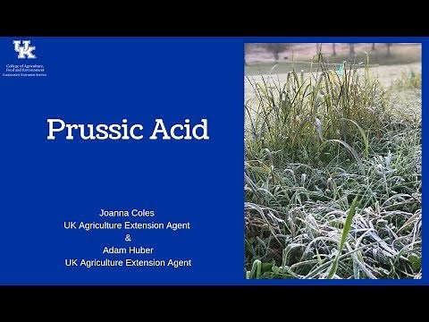 Prussic Acid