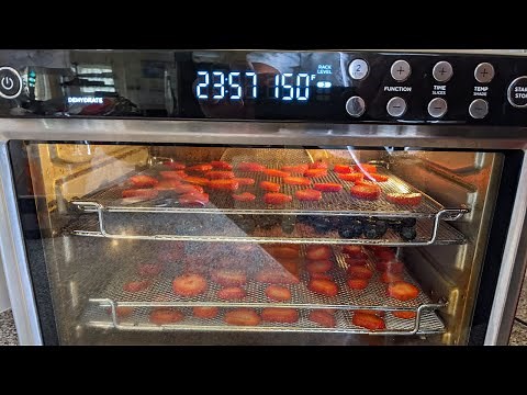 Ninja Foodi XL Pro Air Oven Dehydrating Kit Review, vs No Kit