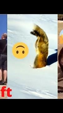 Wee Meme compilation part 1