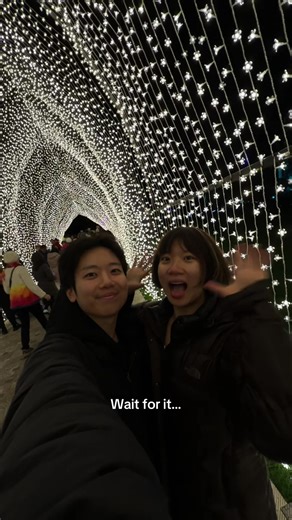 Experience Magical Winter Lights at Lightscape