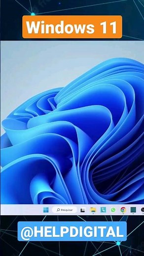 Windows 11 how to show hidden files and folders