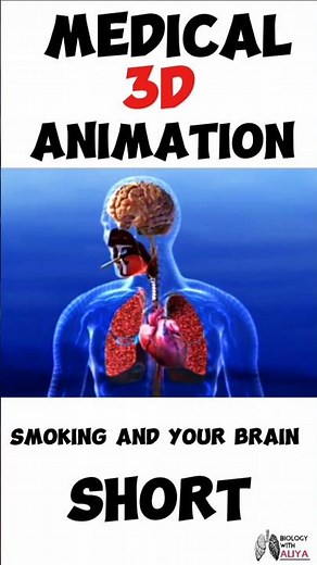 Smoking and your Brain | Medical 3D Animation #brain #shorts