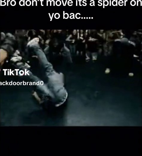 Spider Videos: Hilarious Spider Blooper Compilation