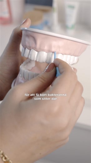 Såhär använder du GUM® EASY-FLOSSERS 💚 En tandtrådsbygel som gör det enklare att använda tandtråd och få bort bakterier mellan tänderna. https://www.sunstargum.com/se-sv/produkter/tandtrad/gum-easy-flossers.html?cid=soco_33981855113755 | GUM