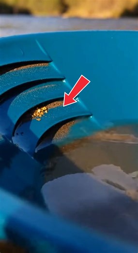 1.3K views · 12 reactions | How REAL Gold Hunters Actually Find GOLD!...