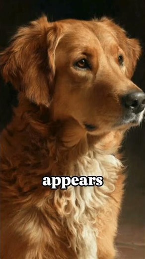 Diffusion Models Explained in 30 Seconds #ai #shorts #education