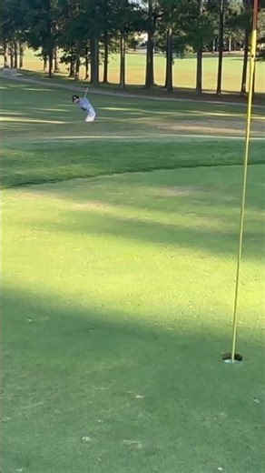 Sometimes you have to putt with the glove on#ytgolf