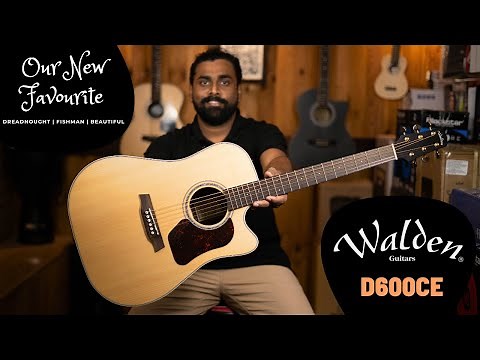 Our New Favorite Dreadnought Guitar | Walden D600ce Review