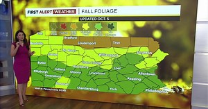 Fall Foliage Report: Leaves starting to change, expected to near peak next week