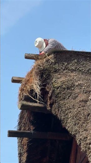 Le case dai grandi tetti di paglia del Giappone rurale