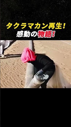Restoring the Taklamakan! An Inspiring Story! #TaklamakanDesert #DesertGreening #EnvironmentalPro...