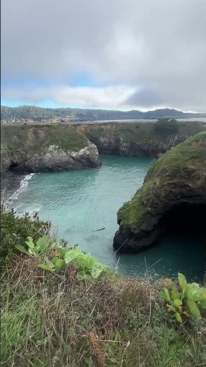 Mendocino Headlands Trail, Mendocino, California #awesome #californiacoast #alltrails #hiking #usa
