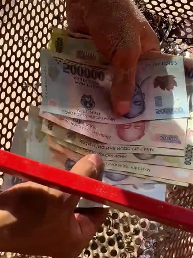 Discovering Treasure: Beach Cleanup Finds