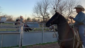 My dad turned 72 today. This was him yesterday, roping steers with my brother. ✨ Happy birthday to my old man, who doesn’t seem that old after all. | Jamie Lin Wilson