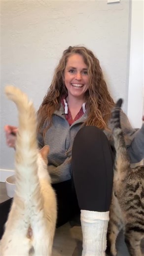 Feral=unsocialized It does NOT refer to temperament or behavior. Let’s use it in a sentence. My child is acting feral. This refers to a child that is being a little bit wild, rambunctious, and maybe doesn’t want to put her shoes on. I can say this because I had feral children. However, Mowgli in the Jungle Book is the true definition of a “feral child”, unsocialized by humans…until he was. Hopefully that helps. 😃 #feral #education #roguecommunitycatrescue #makeadifference #spayandneuter | Rogue