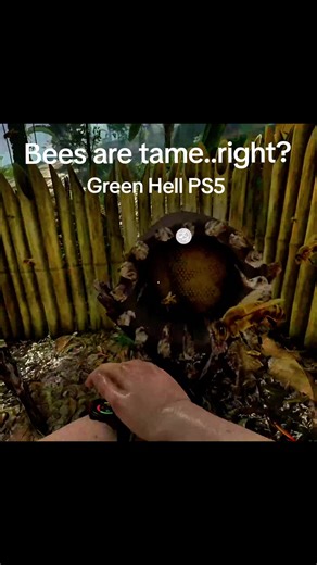 Exploring Survival Mode in Green Hell on PS5