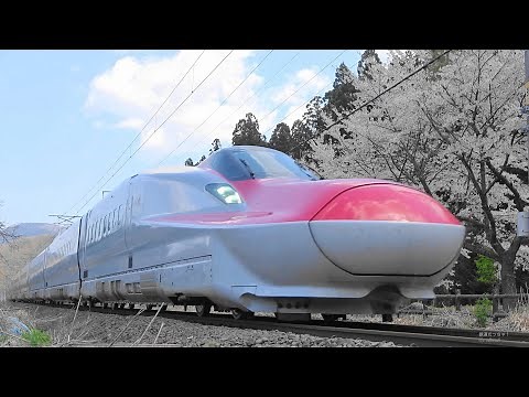 秋田新幹線 E6系こまち 桜の春情通過映像集 Japanese Sakura and Akita Shinkansen