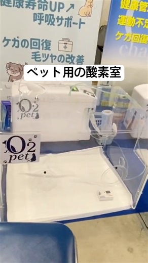 ペット用の酸素室