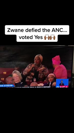 South Africa Parliament Debate on Phala Phala Report