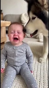 Adorable Babies with Dogs and Cats - Heartwarming Friendship Moments