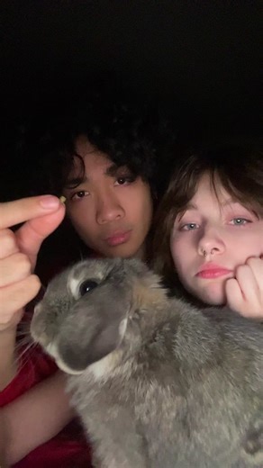 Willow <3 on TikTok