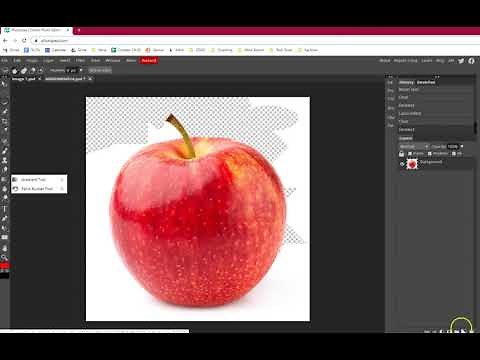 Photopea - Basic Selection Tool Demonstration
