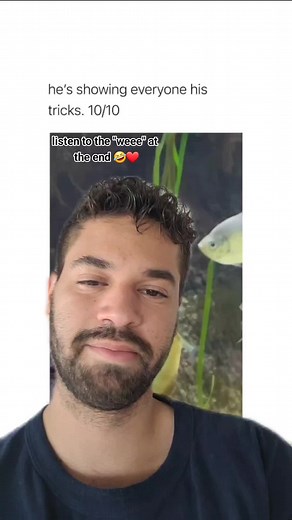 Weee Compilation Reaction Video