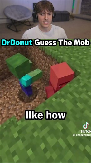 DrDonut Guess The Mob #drdonut #minecraft