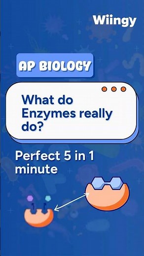 Enzymes in AP Bio: The Hidden Key to Life's Processes 🧬