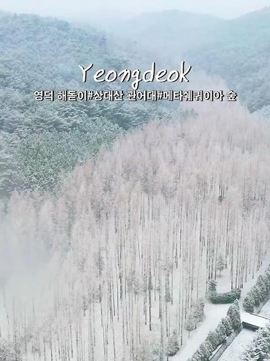 겨울 국내 여행지 추천 #영덕