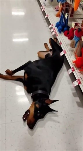 Blue Screen of Death 🟦💀