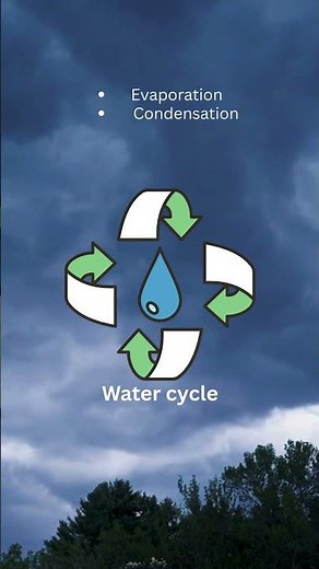 How Do Clouds Make Rain? 🌧️ | Rain Formation Explained Simply