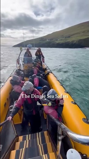 Incredible Marine Life Spotted Off Ireland's Coast #fyp #ireland #kerry
