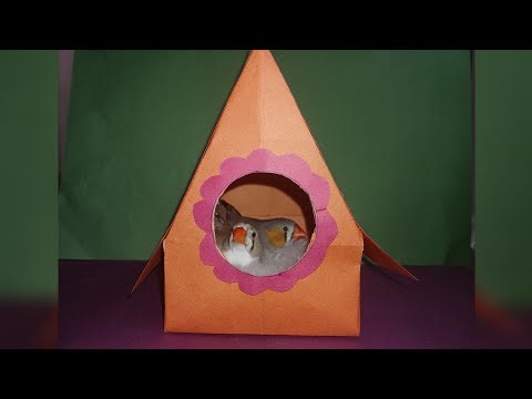 آموزش درست کردن لانه پرنده در چند دقیقه🐤🪺🍂
