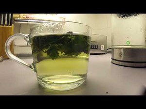 Brennesseltee | Quittensirup | Quittenbrot selber machen