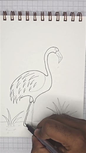 Flamingo Pencil Drawing | Easy Step by Step #shorts