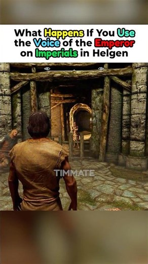 What Happens If You Use the Voice of the Emperor on Imperials in Helgen - Skyrim