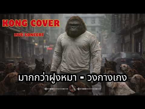 มากกว่าฝูงหมา - วงกางเกง [Cover Ai] By Kong Cover Studio I แนวบันทึกการแสดงสด