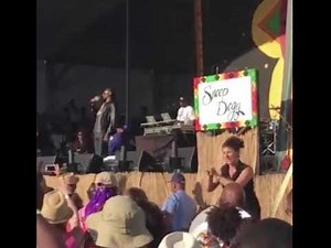 Amazing Sign Language Interpreter At Snoop Dogg Show