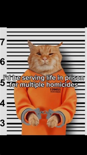 I’m evil #dailymemesddm #cat #catmemes #memes #fyp #meme #foryou #funny #catphotos #evil #larry