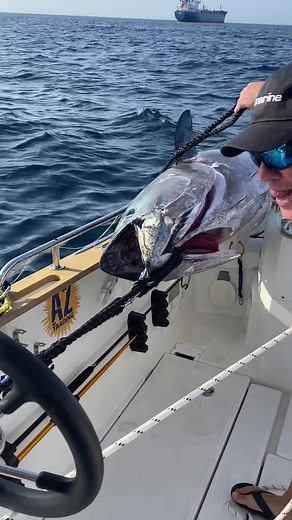 Welcome aboard the Exodus - how we do it #fishing #tuna #howto #howtofish #tunaslide #exodus #exodusfishing