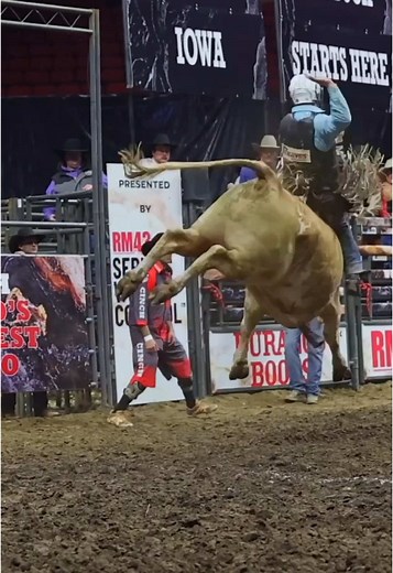 Talk Rodeo To Me on TikTok